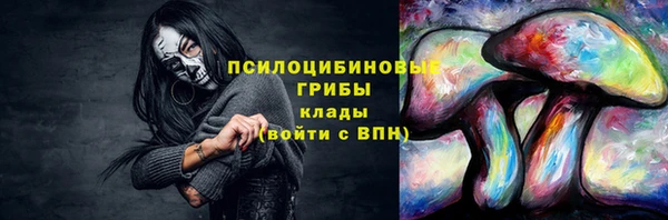гашик Вязьма