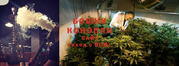 гашик Вязьма
