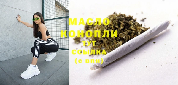 гашик Вязьма