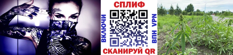 наркошоп  мега онион  Бошки марихуана SATIVA & INDICA  Муром 
